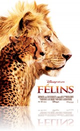 Félins